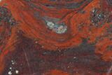 Polished Stromatolite (Collenia) - Minnesota #126093-1